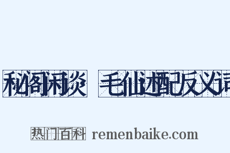 秘阁闲谈·毛仙述配反义词是什么意思的图片
